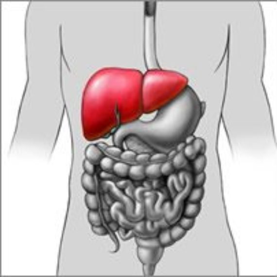 Fatty Liver Disease Acadiana Gastroenterology Associates